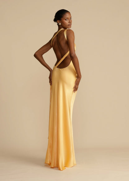 Selena | Aura Dress