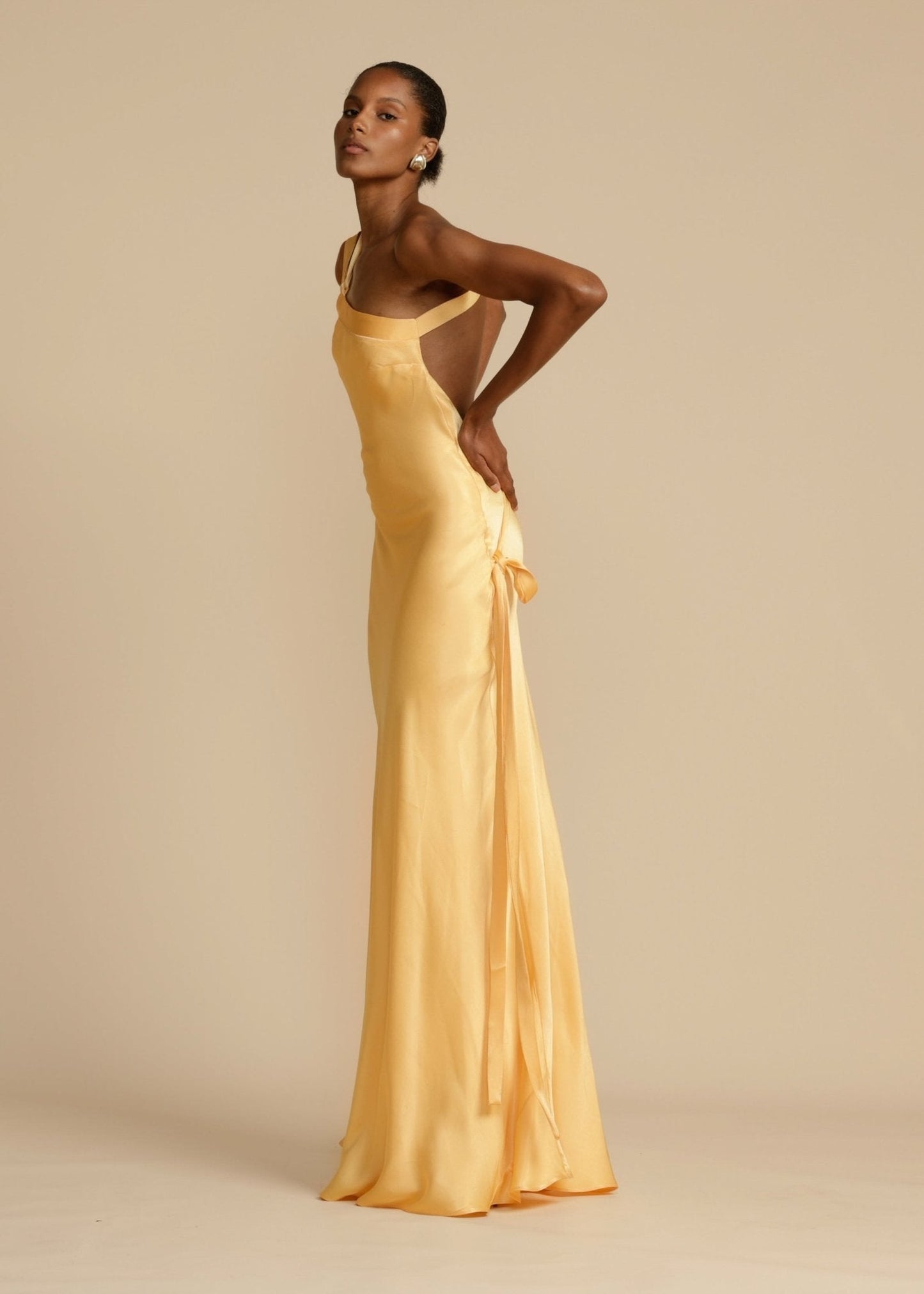 Selena | Aura Dress