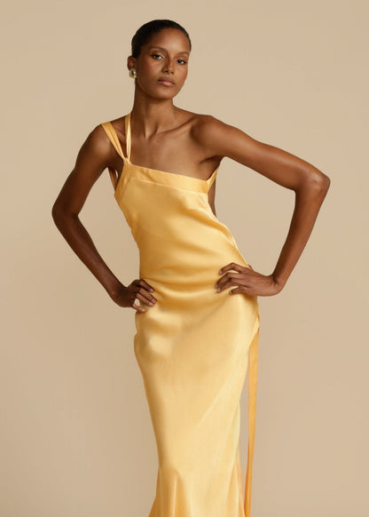 Selena | Aura Dress