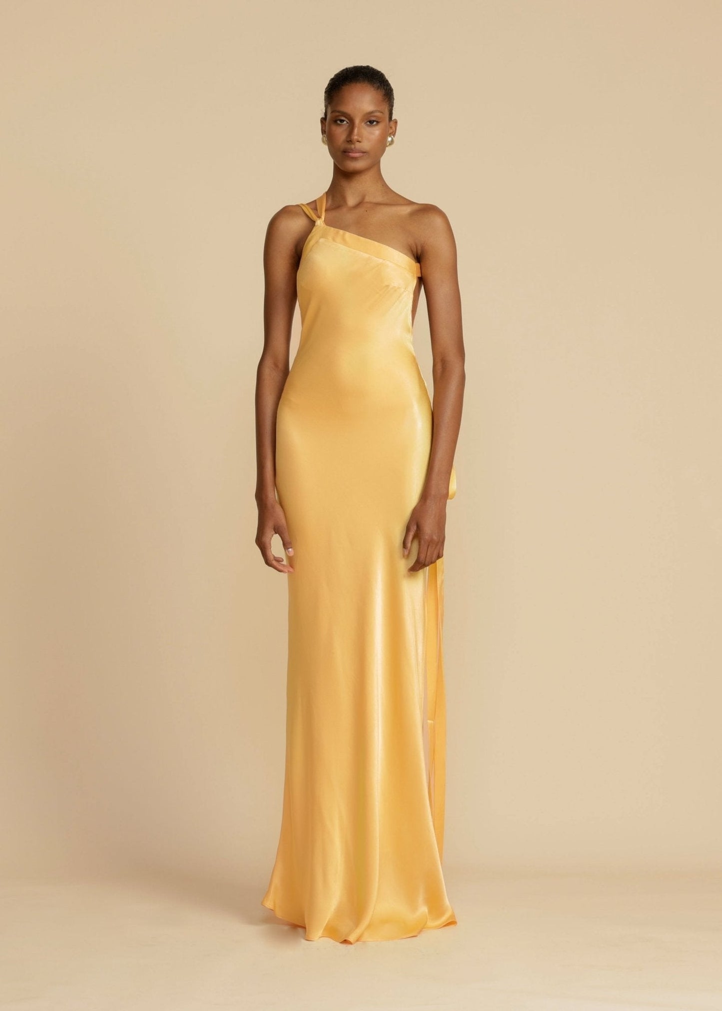 Selena | Aura Dress