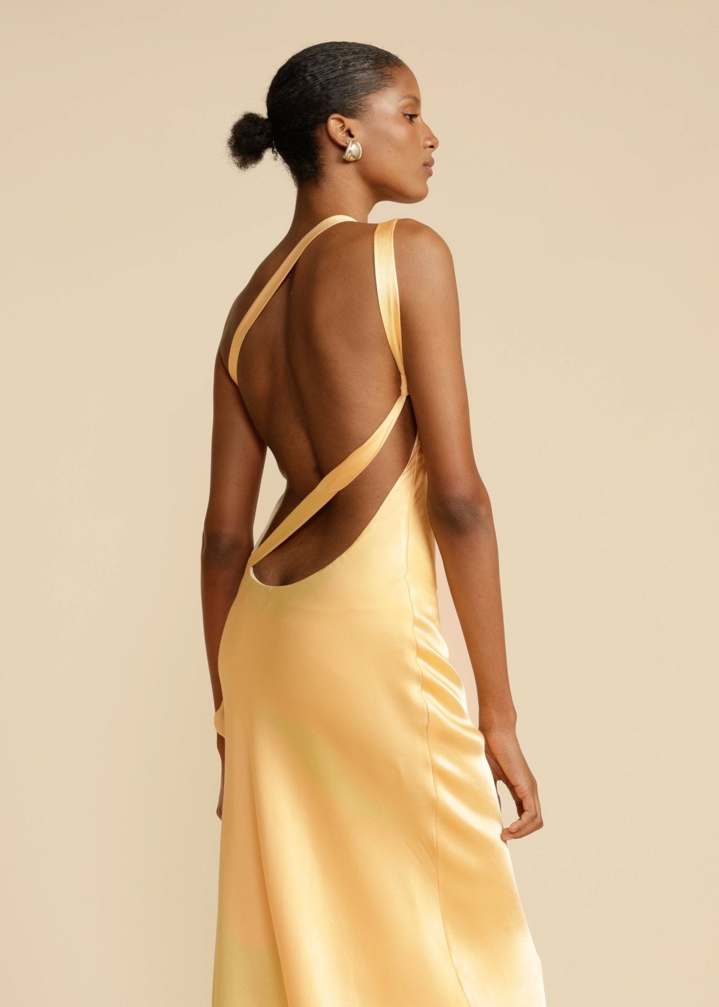 Selena | Aura Dress