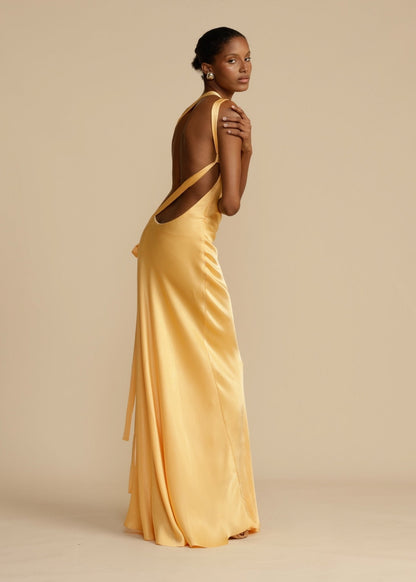 Selena | Aura Dress
