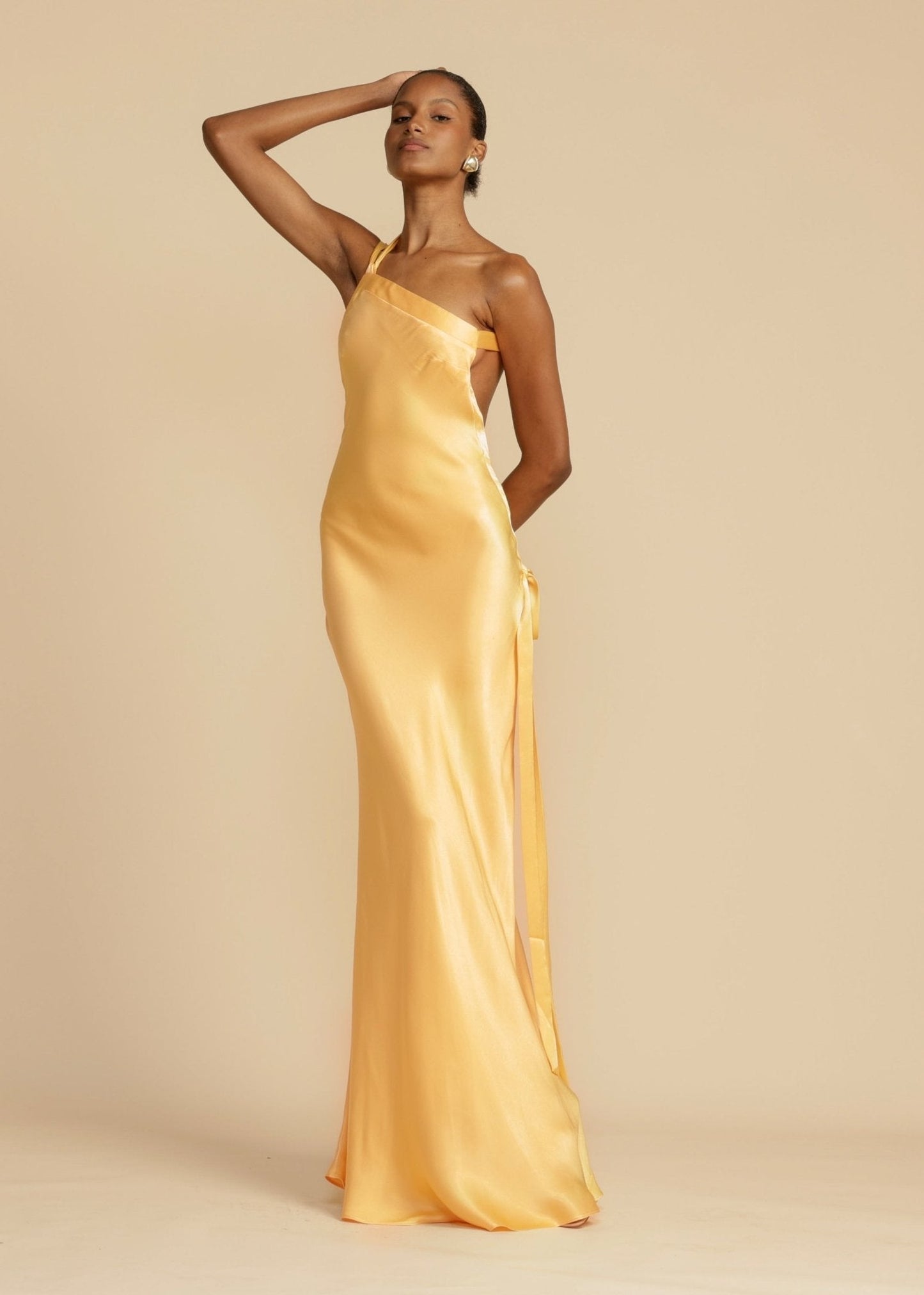 Selena | Aura Dress