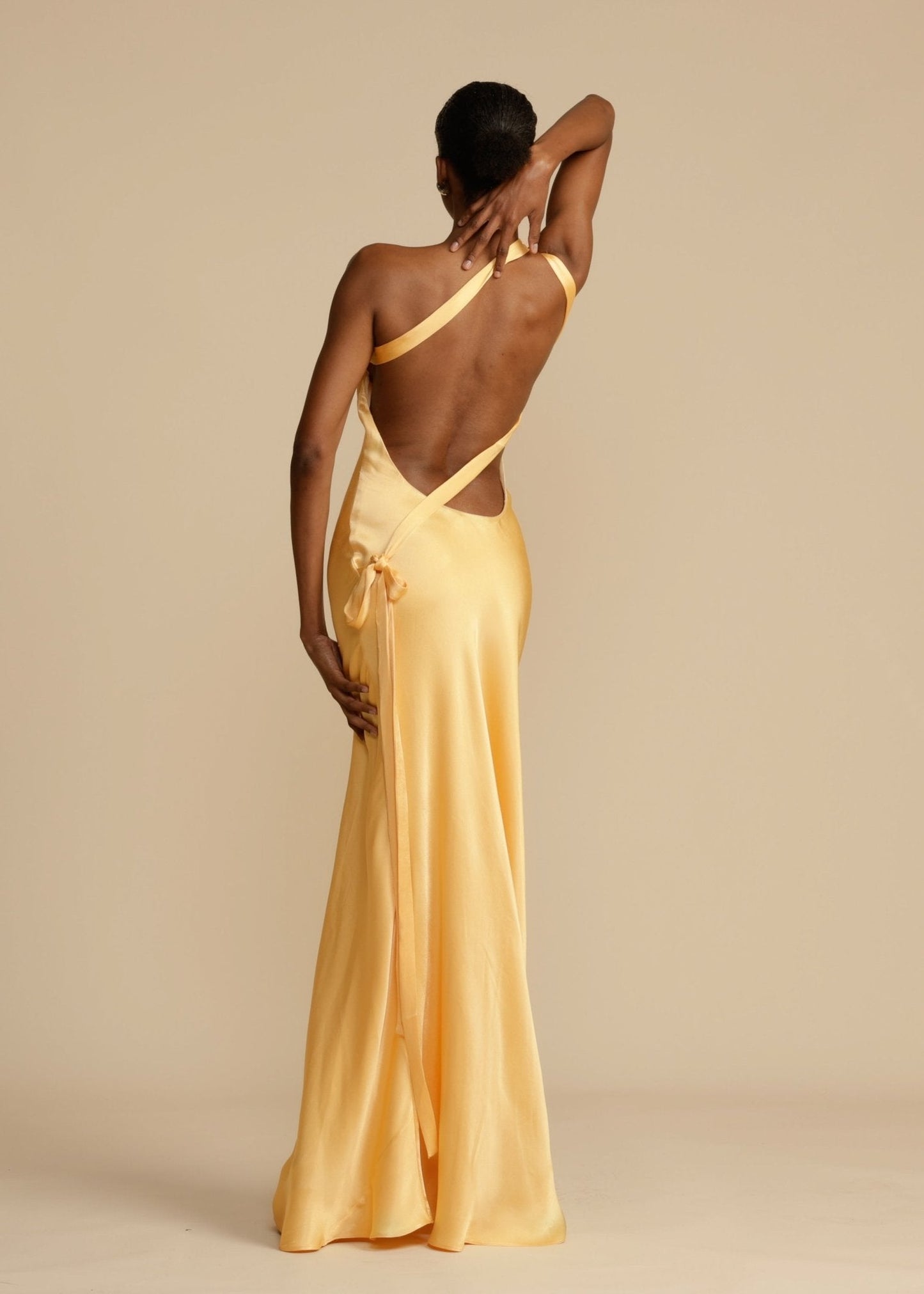 Selena | Aura Dress