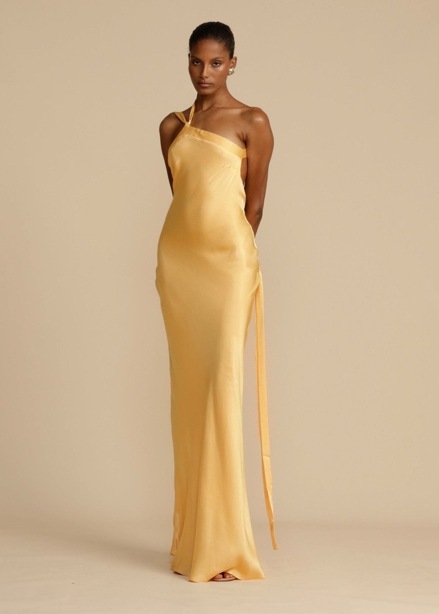 Selena | Aura Dress